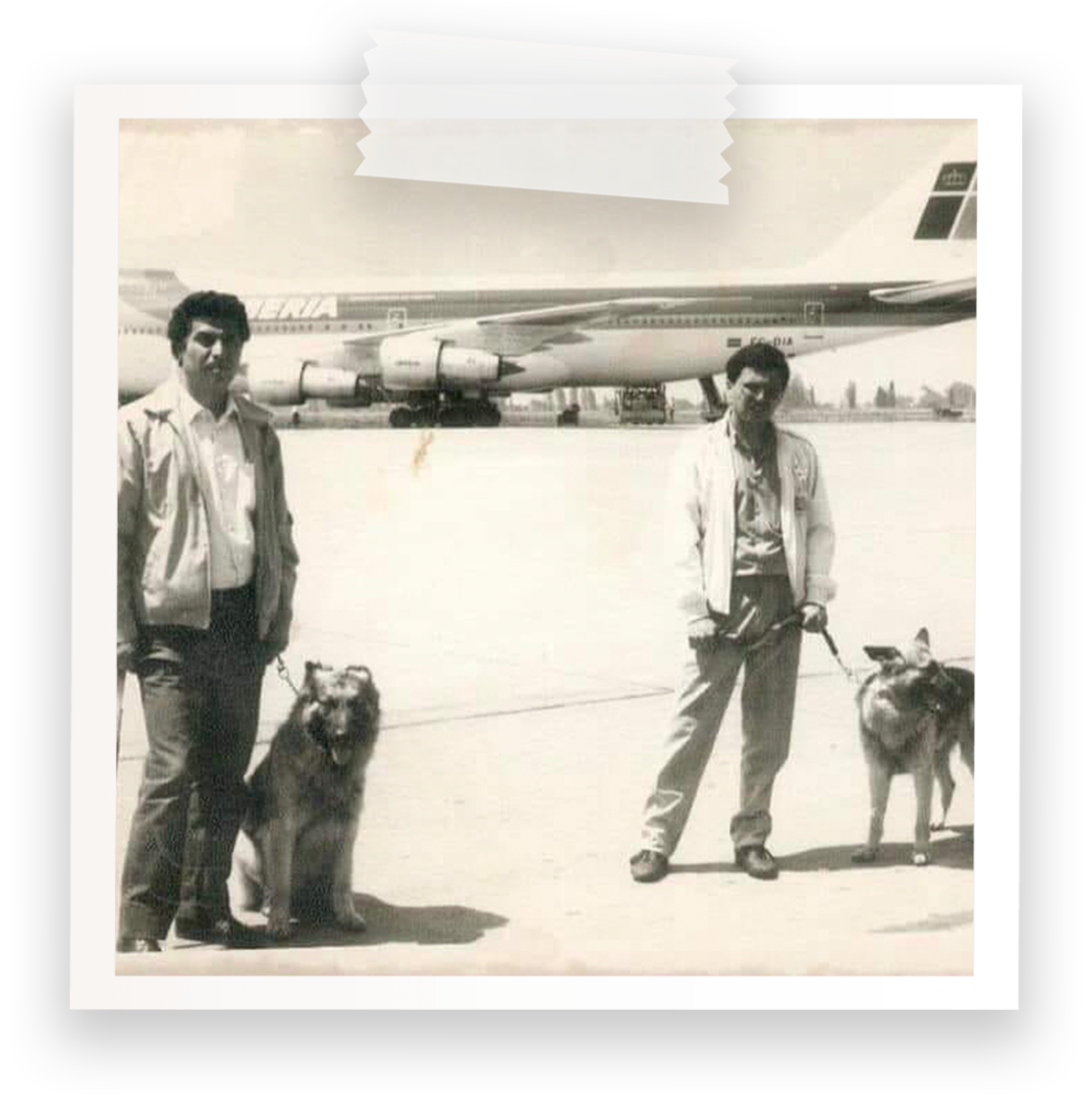 Brigada Canina 1970