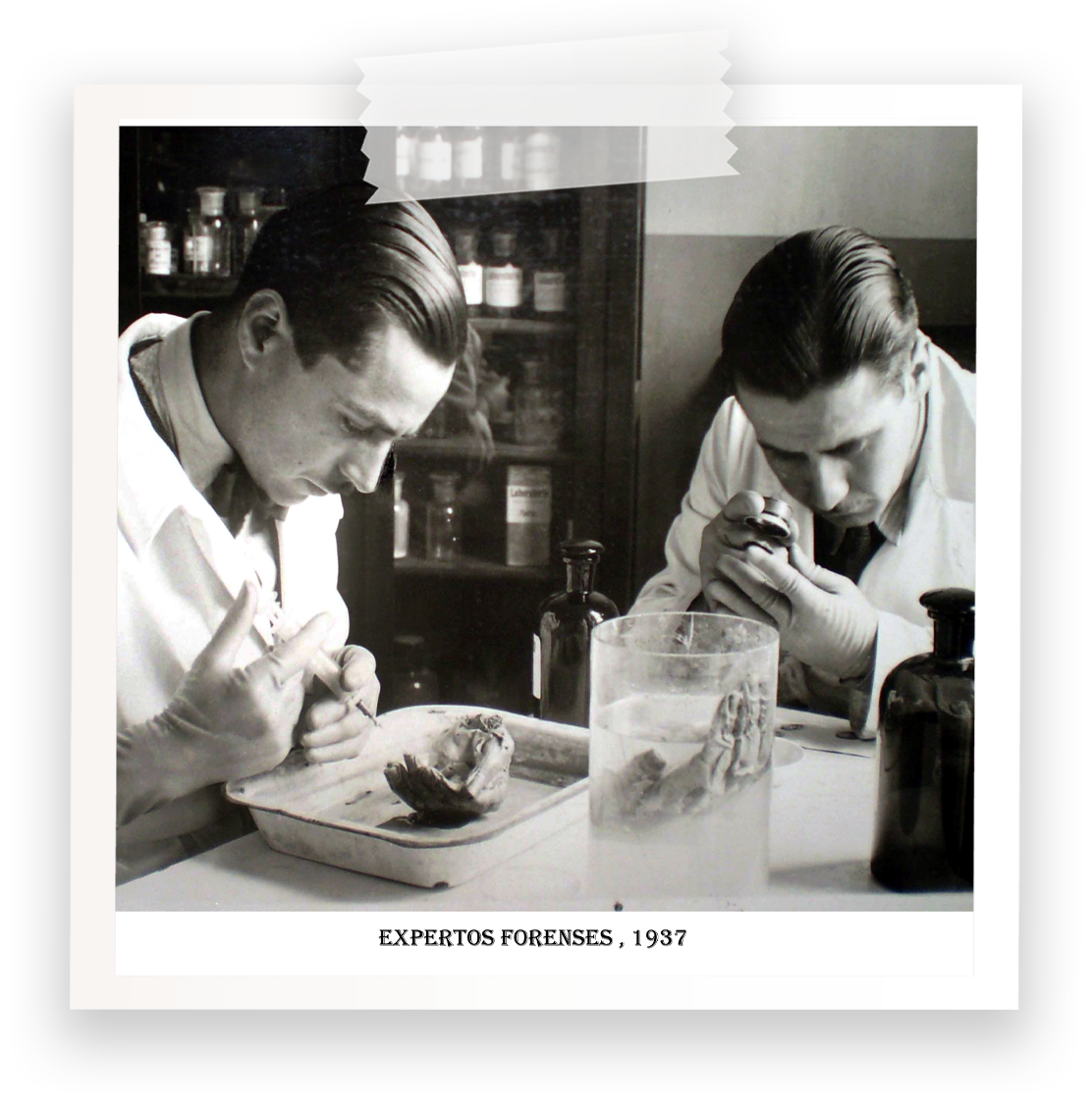 Expertos Forenses 1937